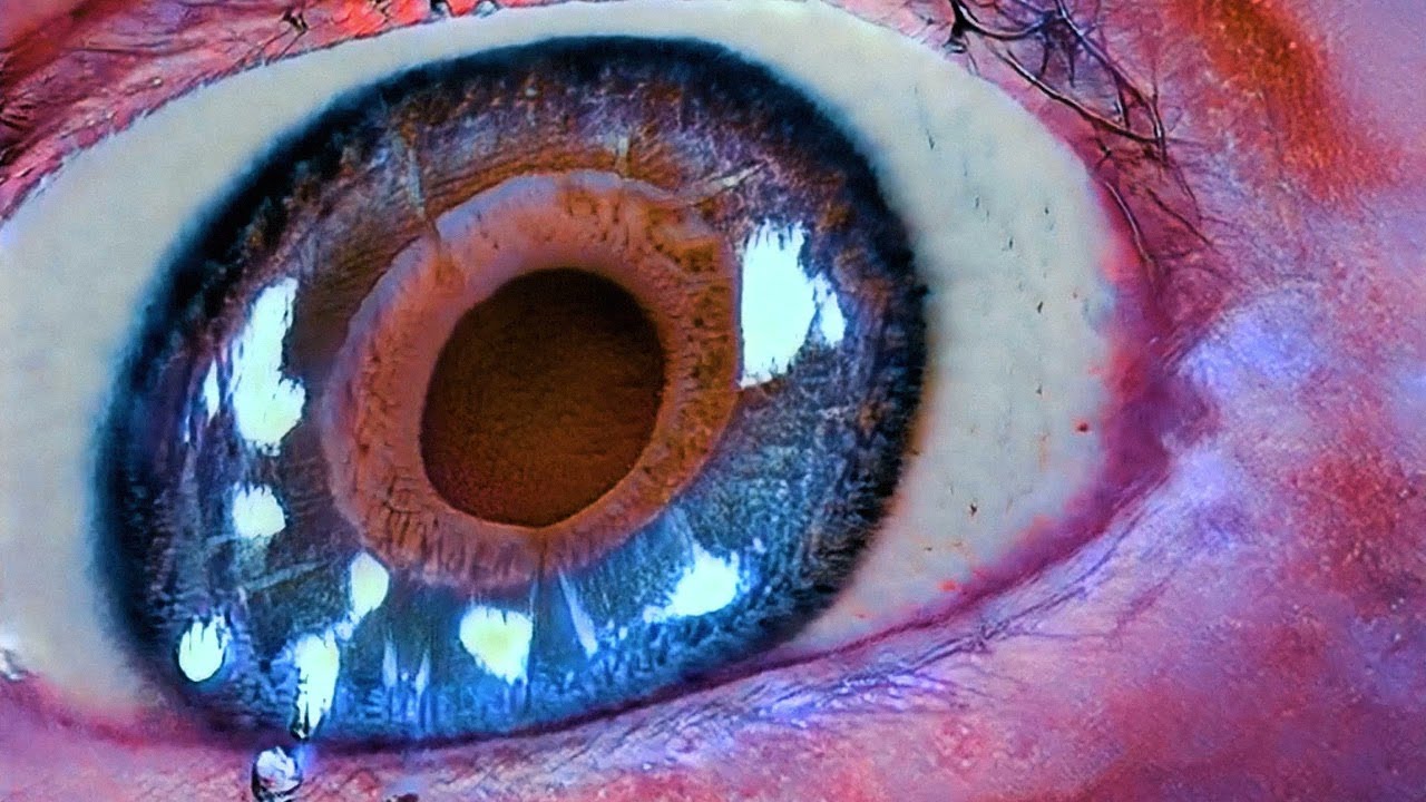 Etherwood - Into Oblivion (Official Video)