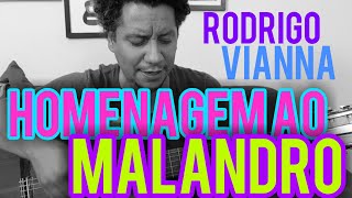 Homenagem ao Malandro - Rodrigo Vianna (Cover) #Projeto365 | 336 - 365