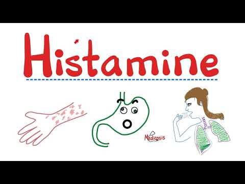 Histamine - H1 receptors, H2 receptors, H3, H4 - Allergy and Anaphylaxis - Pathology