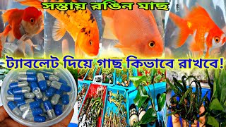 Serampore Pet Market | Shrirampur Fish Market |Serampore Fish Market | Fish Shop Near Me|Fish Market