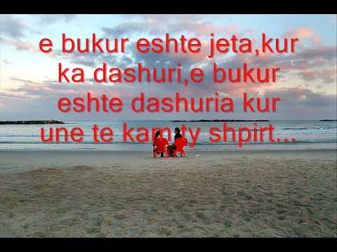 Roan VS Animor - o ri teveqele