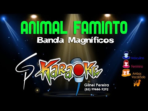 Karaokê Banda Magníficos - Animal Faminto