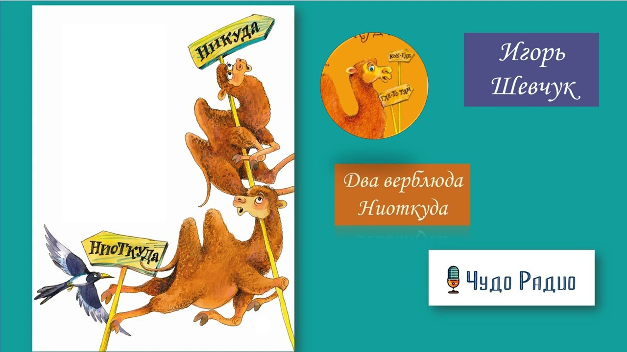 Два верблюда ниоткуда. Игорь Шевчук