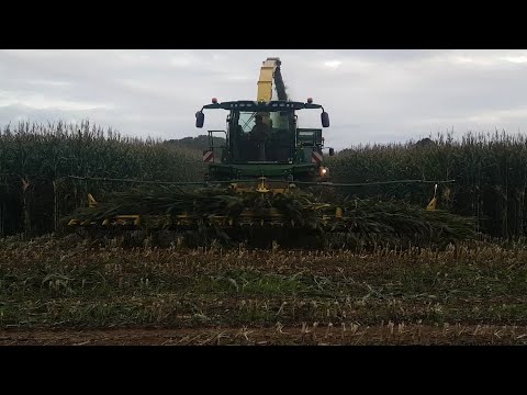 Burden Bros Maize 2017
