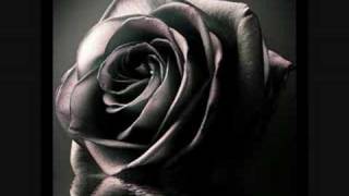 Bob Geldof - I don&#39;t like Mondays