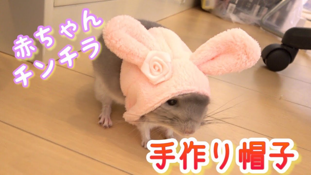 ちんちらの赤ちゃんに手作りの帽子被せたら可愛かった！！！！！