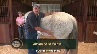 Masterson Method technique for releasing tension in the horse