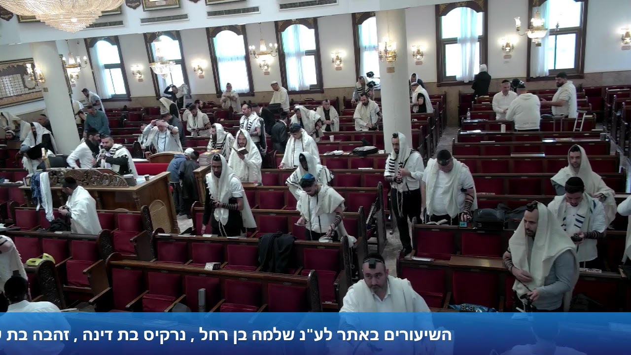 הרב אייל עמרמי - פורים תפילת שחרית תשפ"ו