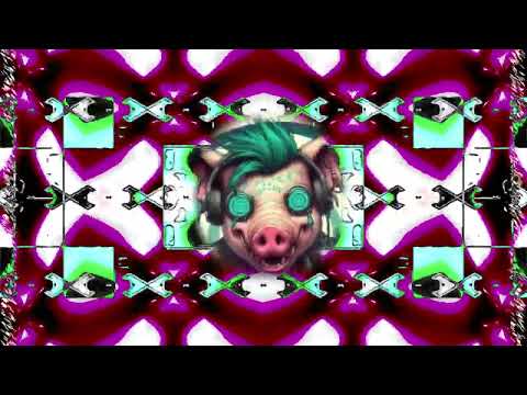 Pygz - Hardtek Boite Noire live