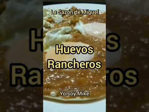 Huevos Rancheros, (Shorts).