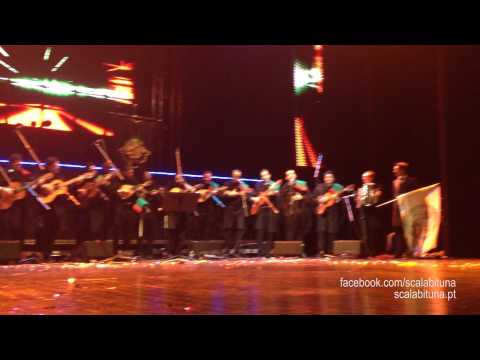 Scalabituna - Anda comigo ver os aviões (XX Celta)