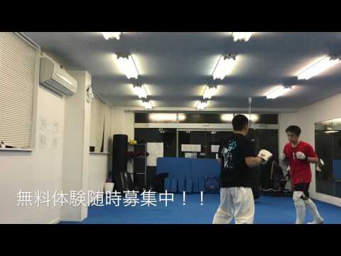 守谷道場 スパーリング パート2 karate fight sparing トレーニング 武道 格闘技 一般部 フルコン