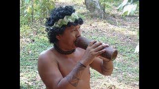 Terra Preta - Das Schwarze Gold des Amazonas