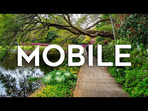 Top 10 Best Things to Do in Mobile, Alabama - Travel Guide 2024