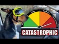Preparing for a CATASTROPHIC Bushfire Day! Australian Sheep Farm Vlog
