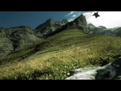 El traje aéreo (Wingsuit) HD