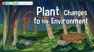 Plant Changes to the Environment