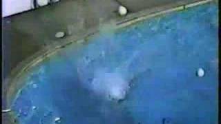 A Jerry Cantrell Tribute Video