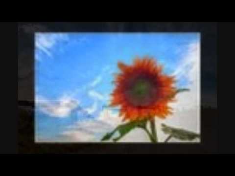 Trentemoller - Gush ( Blagger's Bring It Back Beatless Remix)