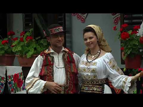 ALINA CEUCA -   MĂ -NTREABĂ FRUNZA DE FAG