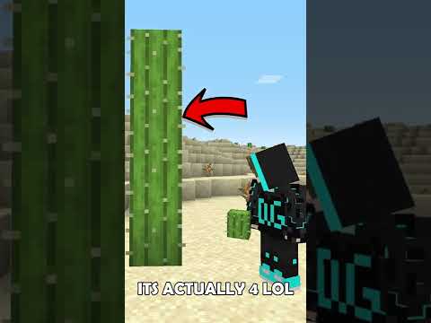 DilGoZian - How Old A Minecraft Cactus Actually Is? 🤯