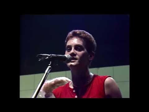 Fehlfarben Die Wilde Dreizehn 1982 Live
