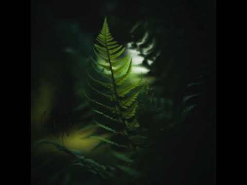 Non Somnia Liquid shadows