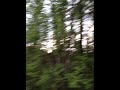 the softies - sleep away your troubles (slowed + reverb)
