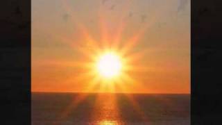 TIMIDA con testo  *Moda*