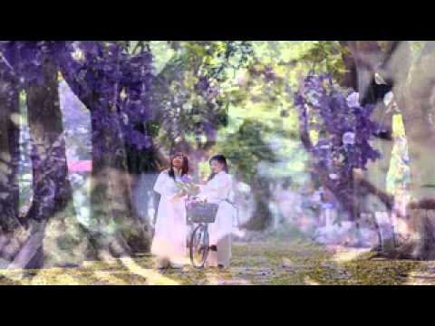 HOA TÍM NGOÀI SÂN