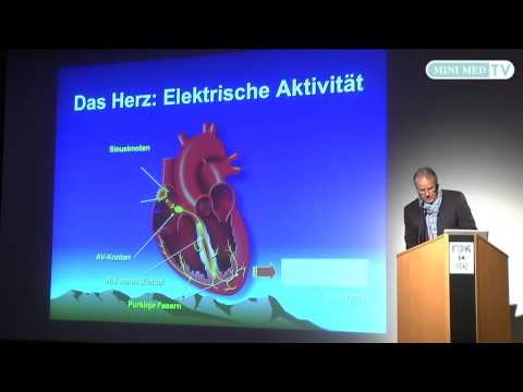 Die Breite des Wirbelkanals in den zervikalen Rückenschmerzen in der Nierengegend auf beiden Seiten