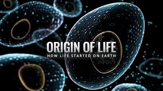 Origin of Life - How Life Started on Earth