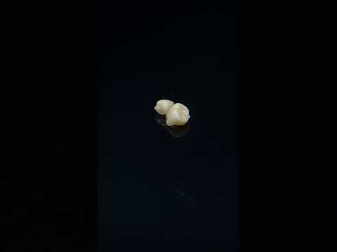 YouTube 썸네일