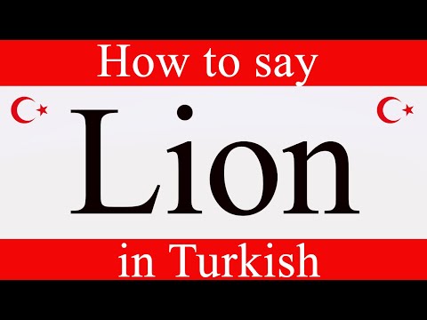 Learn Turkish   How to say "Lion" in Turkish   Turkish Lessons