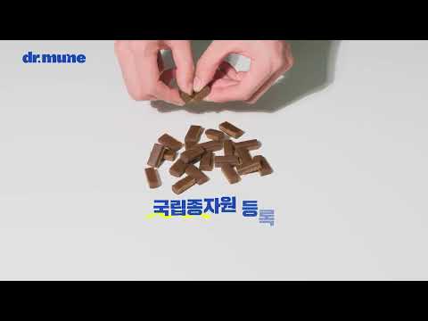 닥터뮨 오리진 동충하초 면역영양제