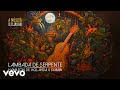 Hamilton de Holanda, Djavan - Lambada de Serpente (Clipe Oficial)