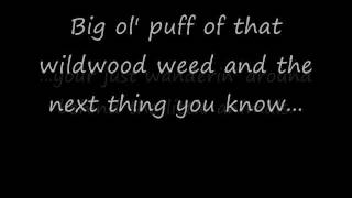 Wildwood Weed (Jim Stafford) w- lyrics