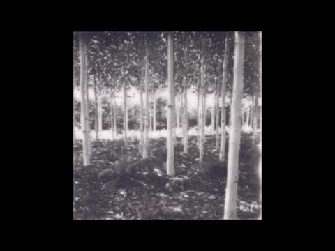 05. Kodyak - only time will tell