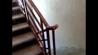 preview picture of video '2Bhk flat for Rent in Dhavli Ponda Goa. call 9145463520'