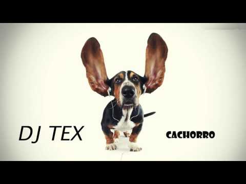 BASE DE FUNK - BEAT FUNK - FUNK INSTRUMENTAL  ( DJ TEX - CACHORRO )