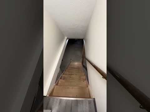 476/478 S. Kaser - Video 2 of 2