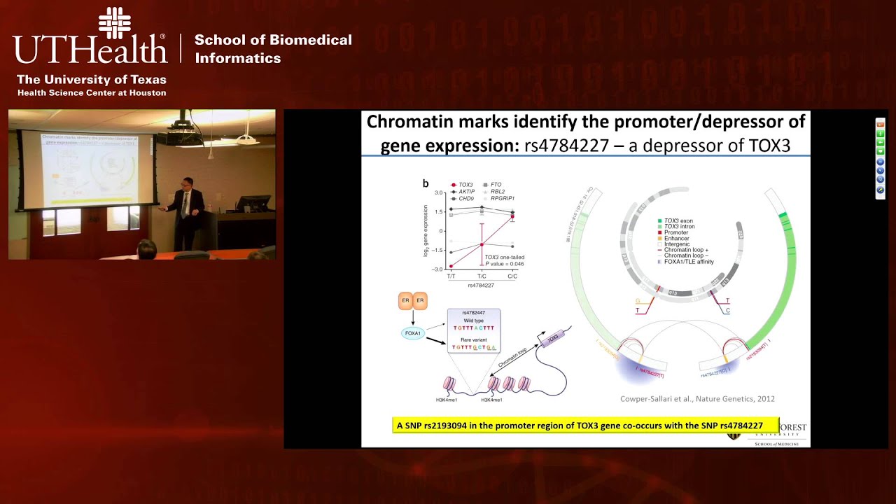Big Data Sciences for Personalized and Precision Medicine