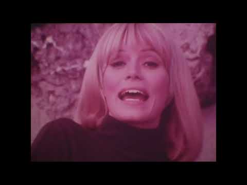 Olympia Beer: Olympia Advertising '67