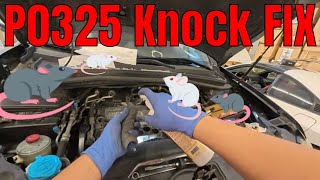 ASMR Step by Step Repair P0325 Knock Sensor Malfunction DIY Acura / Honda V6 - MDX Rodent Chew