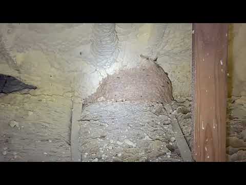 Huge Yellow Jacket Nest Found Attached to Spray Foam Attic Insulation in Holmdel, NJ