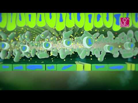 Vídeo Corporativo 3D AminoQuelant®- K low pH