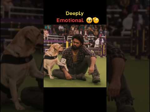 If ur lucky, a dog 🐕 come to your life ☺️ #dog #love #shorts