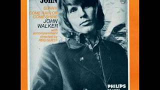 John Walker - Woman
