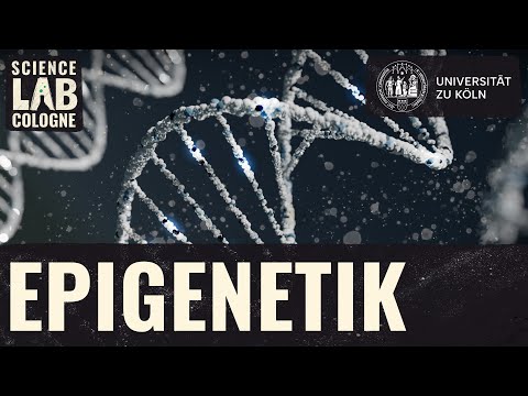 Epigenetik - Beeinflusst die Umwelt dein Genom?