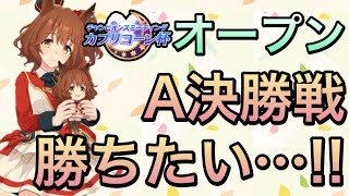 【ウマ娘】カプリコーン杯オープン決勝走ります…今年最初のチャンミ勝ちたい‼︎